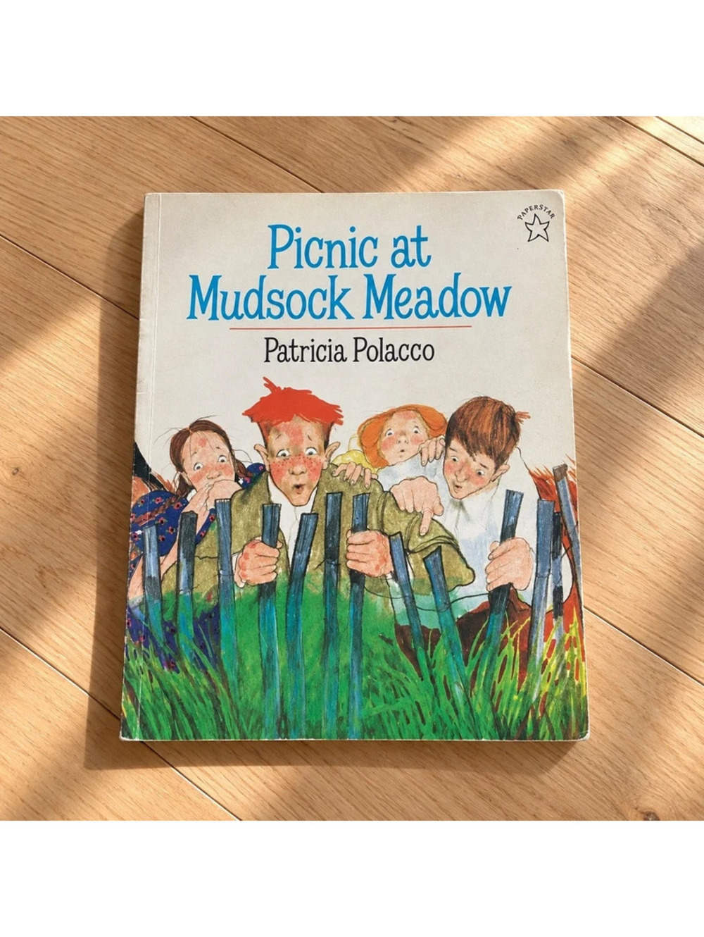 Picnic at Mudsock Meadow Patricia Polacco 1997 Vintage Halloween Picture Book